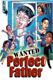 Wanted: Perfect Father 1995 one on netflix