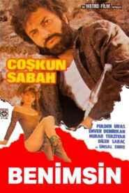 Benimsin 1987 one on netflix