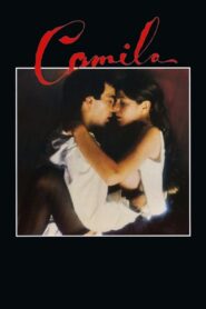 Camila 1984 one on netflix