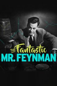 The Fantastic Mr Feynman 2013 one on netflix