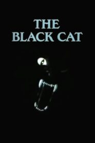 The Black Cat 1995 one on netflix