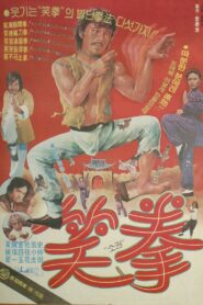 Battle with Top-Class Samuri 1980 one on netflix