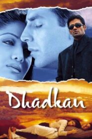 Dhadkan 2000 one on netflix
