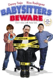 Babysitters Beware 2009 one on netflix