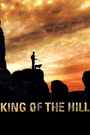 The King of the Hill 2008 one on netflix