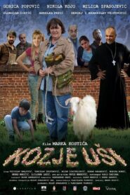 Out of the Woods 2017 one on netflix