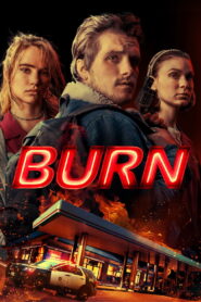 Burn 2019 one on netflix