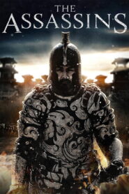 The Assassins 2012 one on netflix