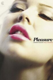 Pleasure 2013 one on netflix
