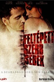 Serbian Scars 2009 one on netflix