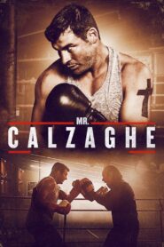 Mr. Calzaghe 2015 one on netflix
