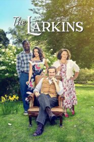 The Larkins 2021 one on netflix