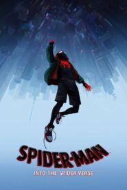 Spider-Man: Into the Spider-Verse 2018 one on netflix