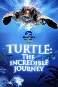 Turtle: The Incredible Journey 2009 one on netflix