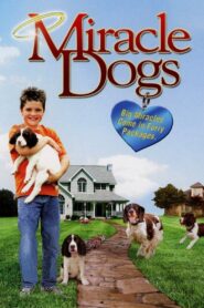 Miracle Dogs 2003 one on netflix