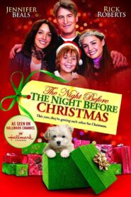 The Night Before the Night Before Christmas 2010 one on netflix