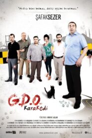 G.D.O. KaraKedi 2013 one on netflix