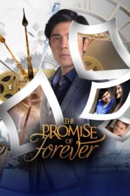 The Promise of Forever 2017 one on netflix