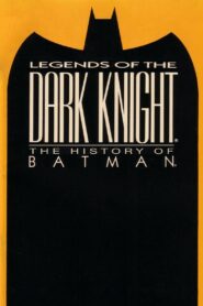 Legends of the Dark Knight: The History of Batman 2005 one on netflix
