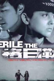 The Gerile 2005 one on netflix
