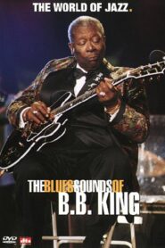 B.B. King – The Blues Sounds of B.B. King 2001 one on netflix