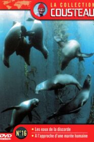 The Cousteau Collection N°16-1 | Strait Islands: The Waters of Discord 1987 one on netflix