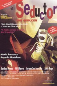 The Seducer 1995 one on netflix