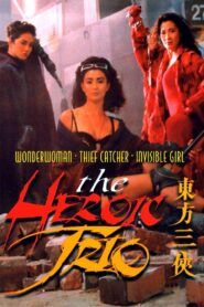The Heroic Trio 1993 one on netflix