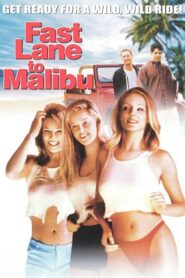 Fast Lane to Malibu 2000 one on netflix