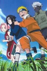 Naruto OVA 3: Hidden Leaf Village Grand Sports Festival! 2004 one on netflix