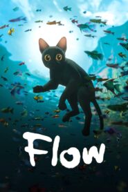 Flow 2024 one on netflix