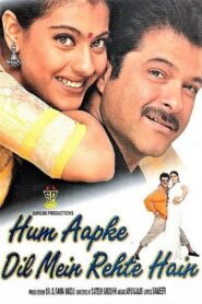 Hum Aapke Dil Mein Rehte Hain 1999 one on netflix