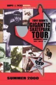 Tony Hawk’s Gigantic Skatepark Tour 2000 2000 one on netflix