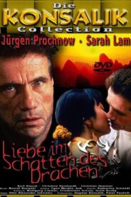 From China with Love 1998 one on netflix