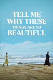 Tell Me Why These Things Are So Beautiful 2024 one on netflix