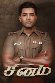 Sinam 2022 one on netflix
