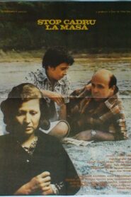 Snapshot Around the Family Table 1980 one on netflix