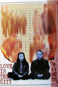 Love in the City 1997 one on netflix