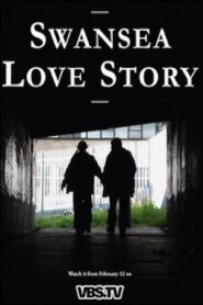 Swansea Love Story 2010 one on netflix