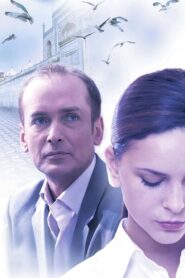 The Stepfather 2007 one on netflix
