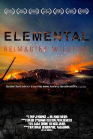 Elemental: Reimagine Wildfire 2022 one on netflix