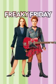 Freaky Friday 2003 one on netflix