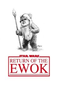 Return of the Ewok 1982 one on netflix