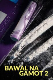 Bawal Na Gamot 2 1995 one on netflix