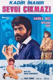 Sevgi Çıkmazı 1986 one on netflix