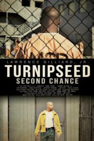 Turnipseed: Second Chance 2013 one on netflix