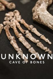 Unknown: Cave of Bones 2023 one on netflix