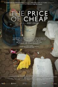 The Price of Cheap 2021 one on netflix