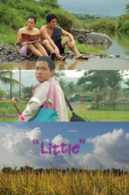 Little 2009 one on netflix