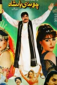 Chaudhry Badshah 1995 one on netflix